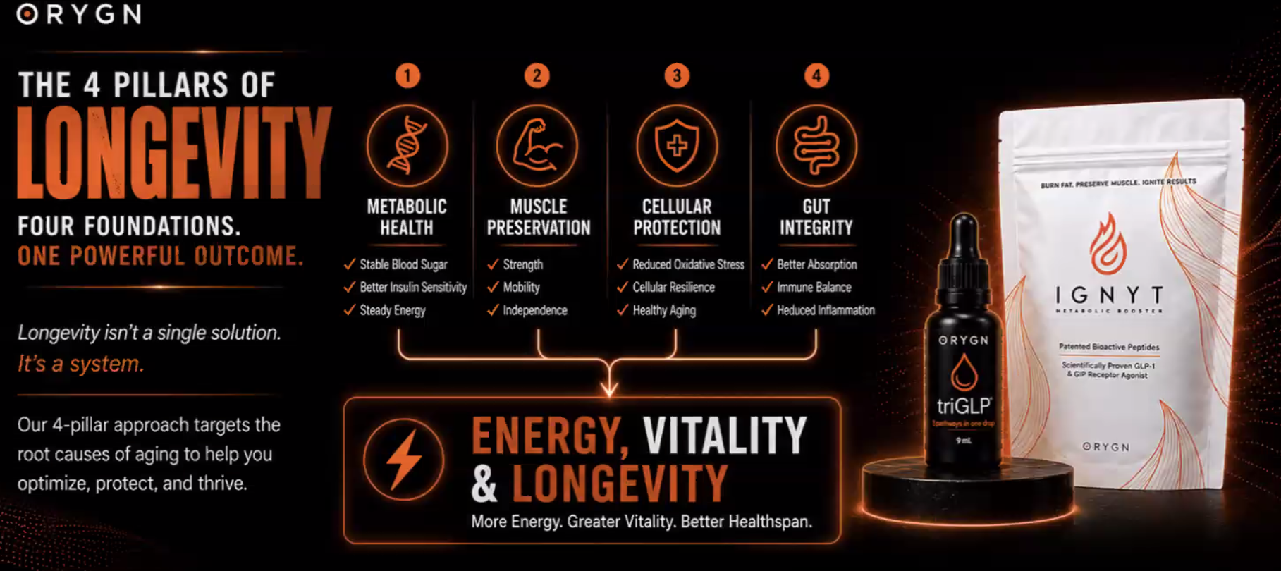 Energy Vitality and Longevity Pillars